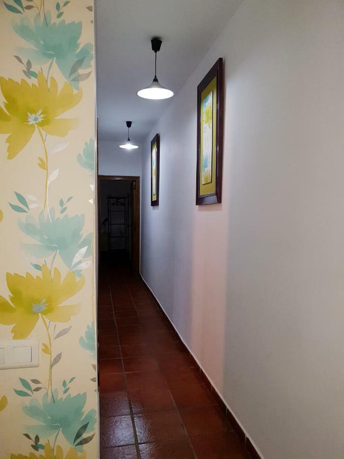 Apartament Apartamento La Rana Sewilla Zewnętrze zdjęcie